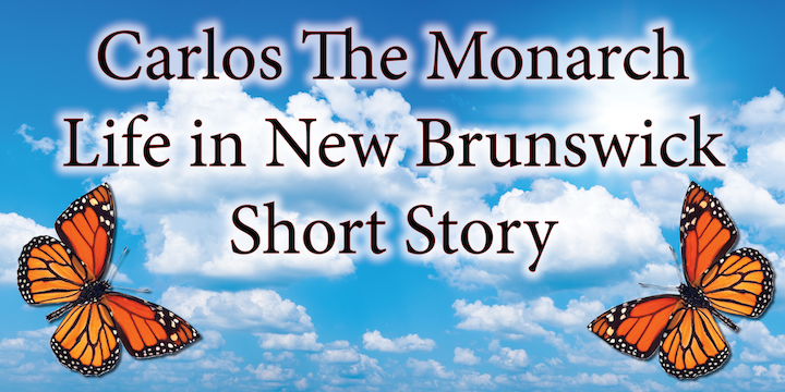 Carlos The Monarch and his life in NB short story